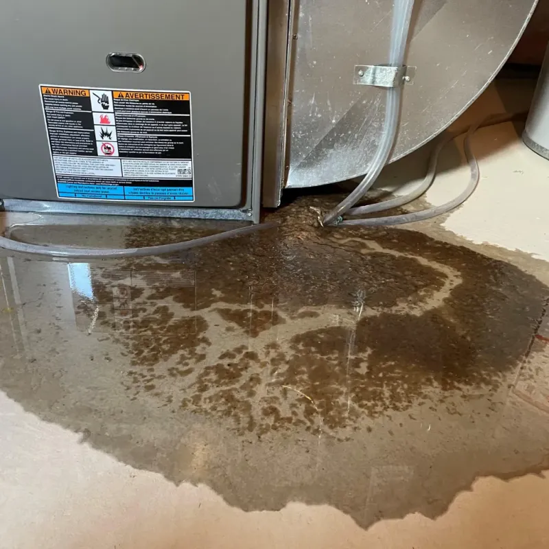 Appliance Leak Cleanup in Rose Hill, NC